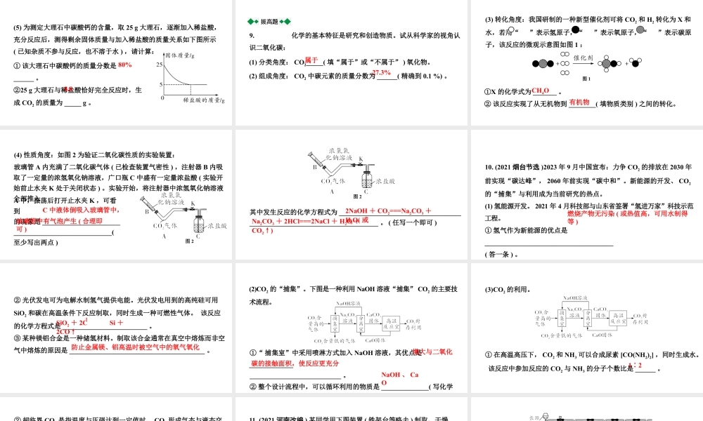 2024沈阳中考化学二轮专题突破 奇妙的二氧化碳（课件）.pptx