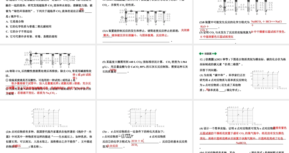 2024沈阳中考化学二轮专题突破 奇妙的二氧化碳（课件）.pptx