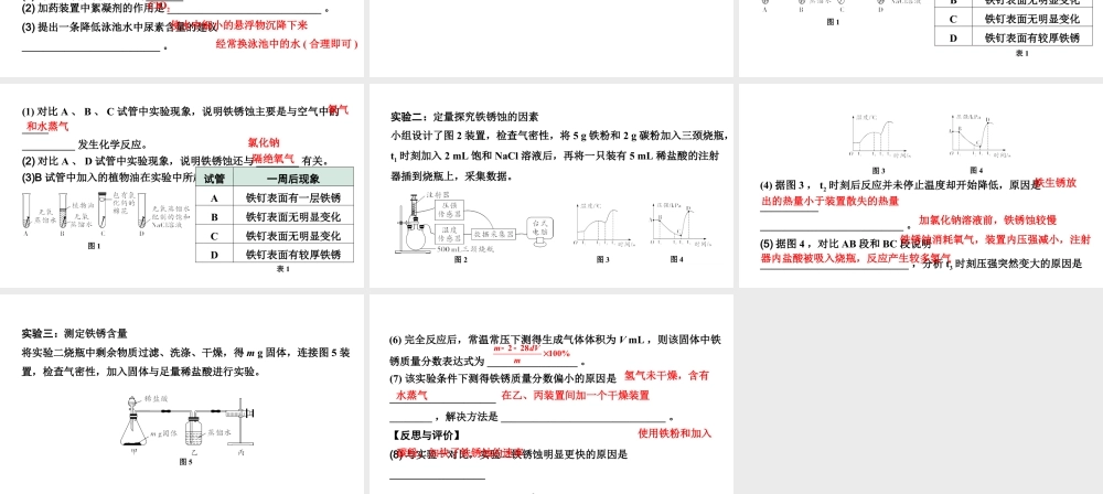 2024沈阳中考化学二轮专题突破 全国视野  推荐题型（课件）.pptx