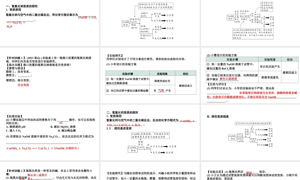 2024沈阳中考化学二轮专题突破 微专题 氢氧化钠、氢氧化钙变质的探究（课件）.pptx