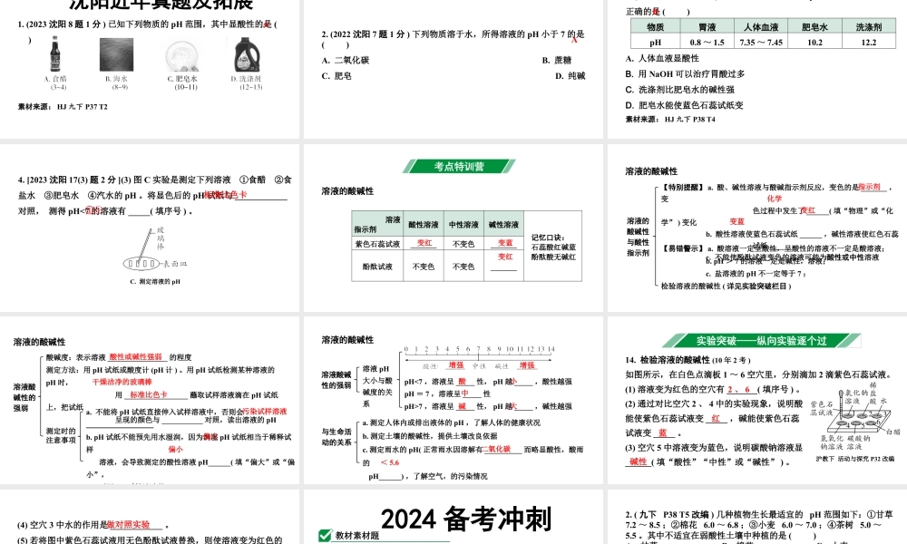 2024沈阳中考化学二轮专题突破 微专题 溶液的酸碱性（课件）.pptx