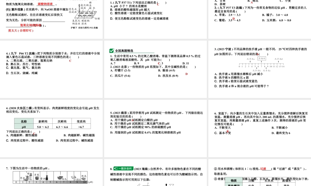 2024沈阳中考化学二轮专题突破 微专题 溶液的酸碱性（课件）.pptx