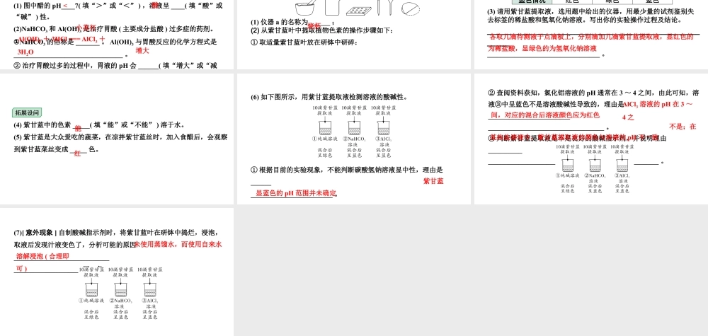 2024沈阳中考化学二轮专题突破 微专题 溶液的酸碱性（课件）.pptx