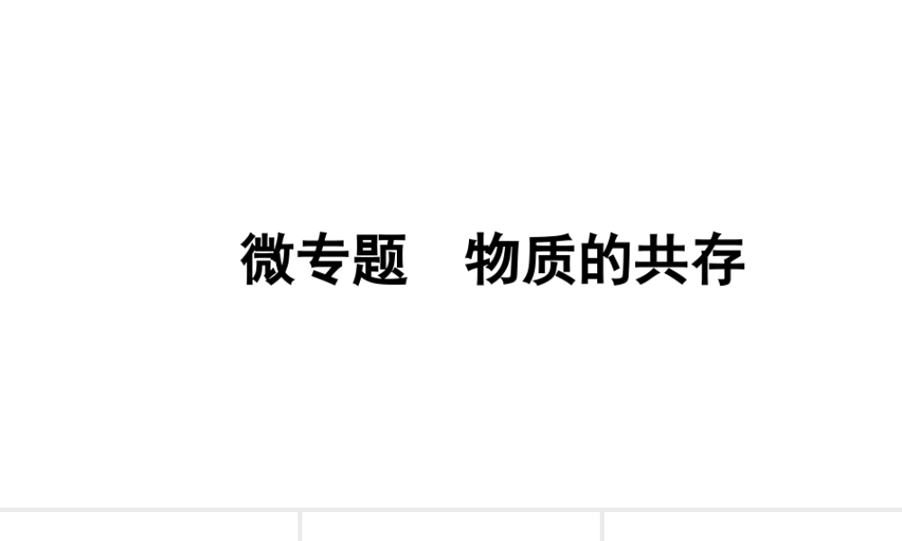 2024沈阳中考化学二轮专题突破 微专题 物质的共存（课件）.pptx