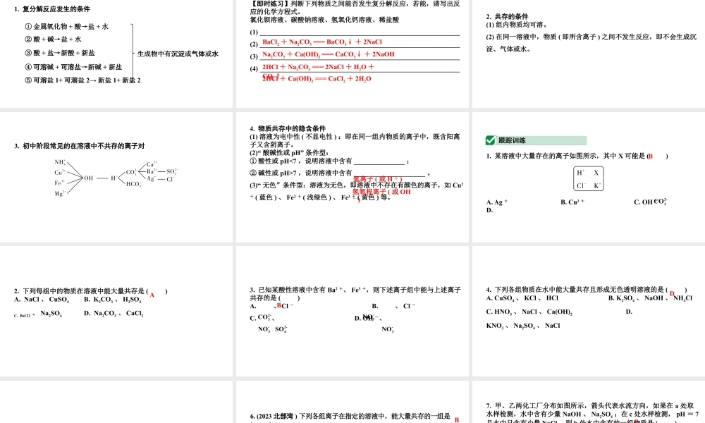 2024沈阳中考化学二轮专题突破 微专题 物质的共存（课件）.pptx