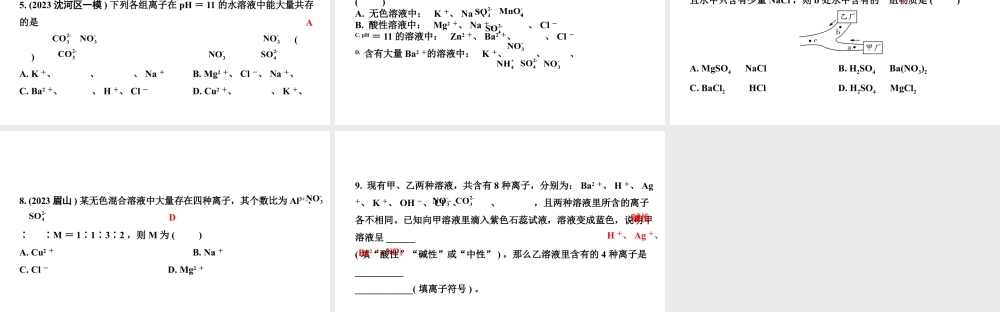 2024沈阳中考化学二轮专题突破 微专题 物质的共存（课件）.pptx