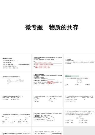 2024沈阳中考化学二轮专题突破 微专题 物质的共存（课件）.pptx