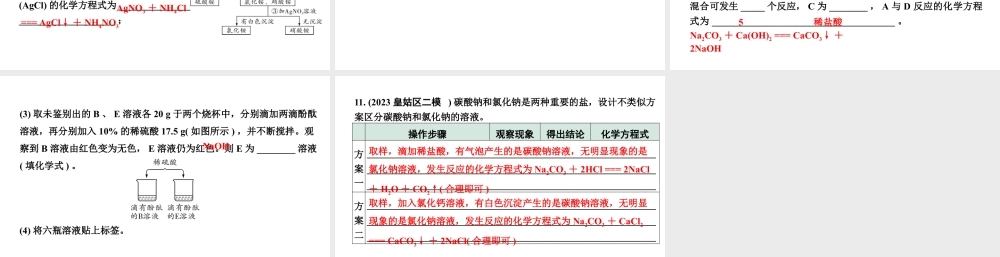 2024沈阳中考化学二轮专题突破 微专题 物质的检验与鉴别（课件）.pptx