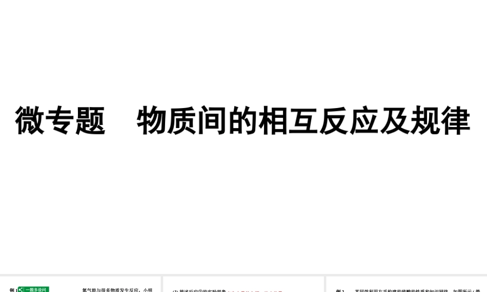 2024沈阳中考化学二轮专题突破 微专题 物质间的相互反应及规律（课件）.pptx