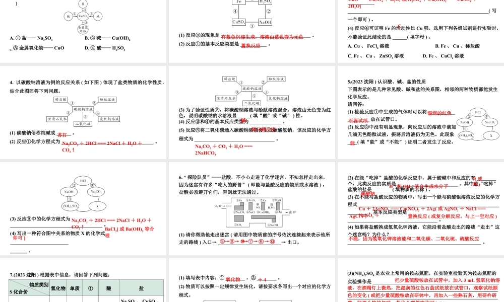 2024沈阳中考化学二轮专题突破 微专题 物质间的相互反应及规律（课件）.pptx