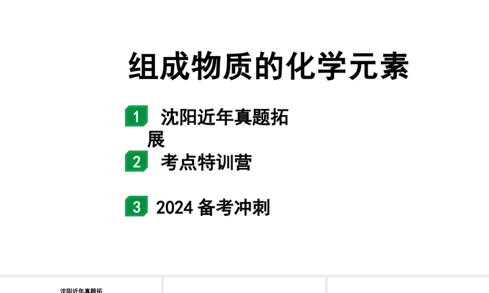 2024沈阳中考化学二轮专题突破 组成物质的化学元素（课件）.pptx