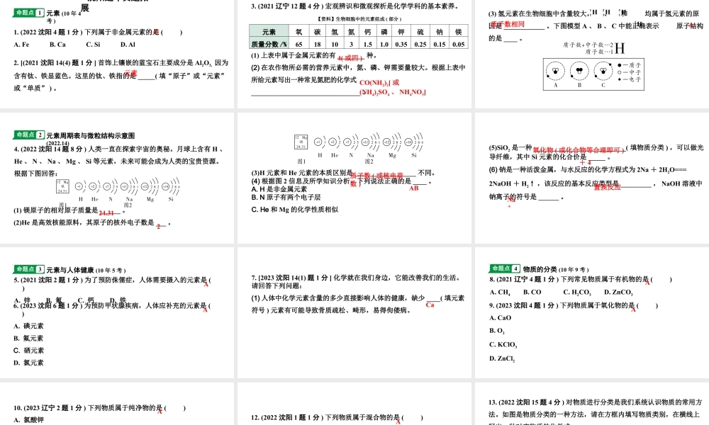 2024沈阳中考化学二轮专题突破 组成物质的化学元素（课件）.pptx