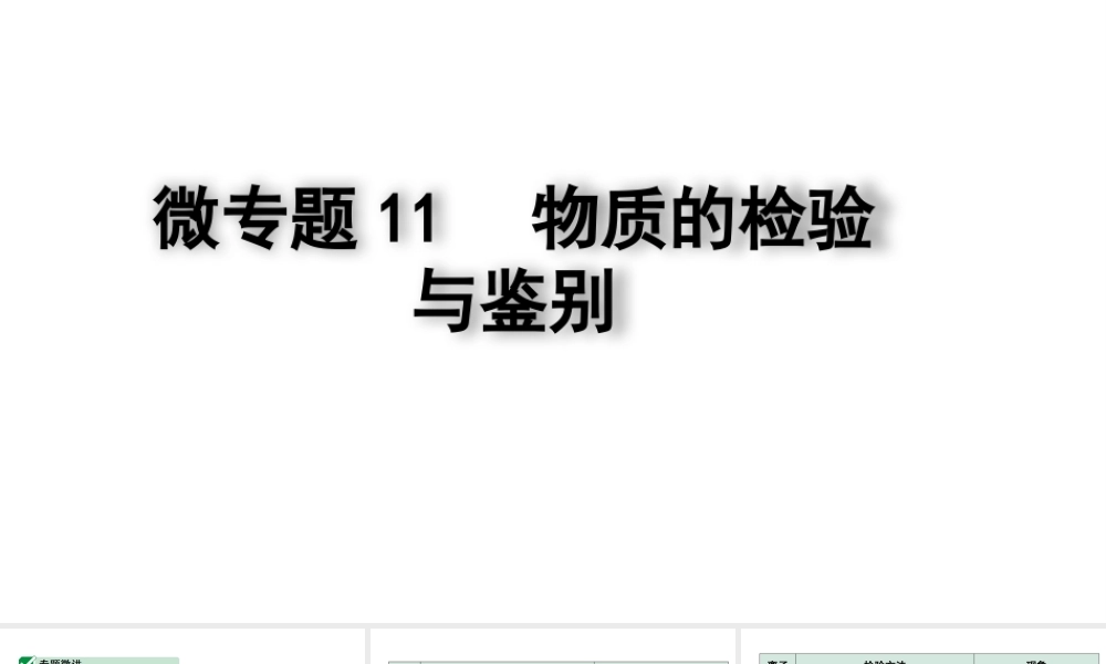 2024四川中考化学二轮复习 微专题11 物质的检验与鉴别（课件）.pptx