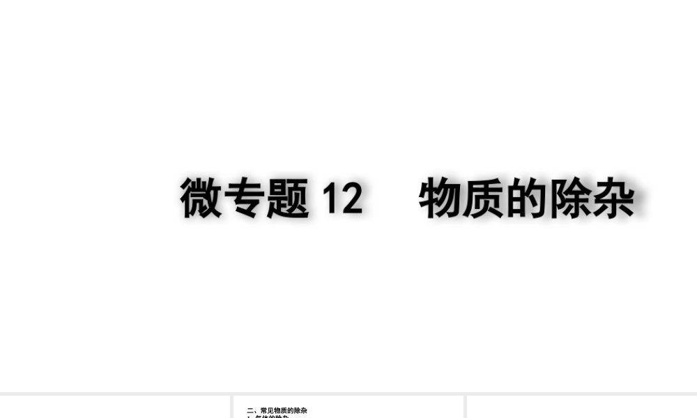 2024四川中考化学二轮复习 微专题12 物质的除杂（课件）.pptx