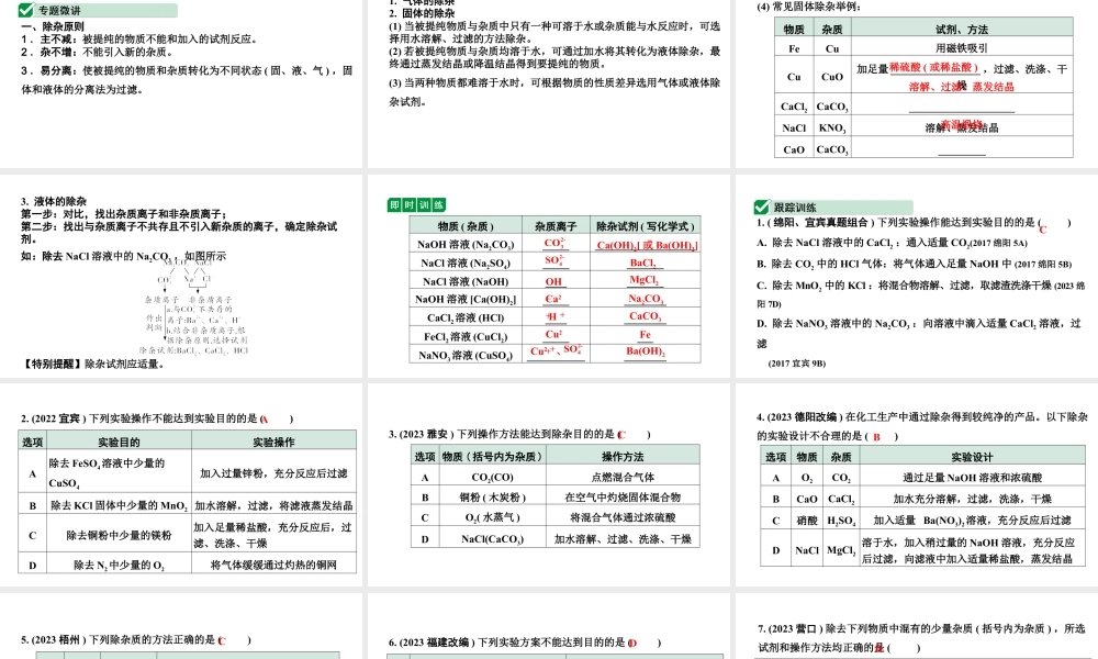 2024四川中考化学二轮复习 微专题12 物质的除杂（课件）.pptx