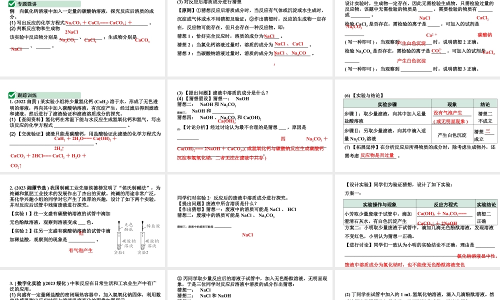 2024四川中考化学二轮复习 微专题14 反应后溶质成分的探究（课件）.pptx