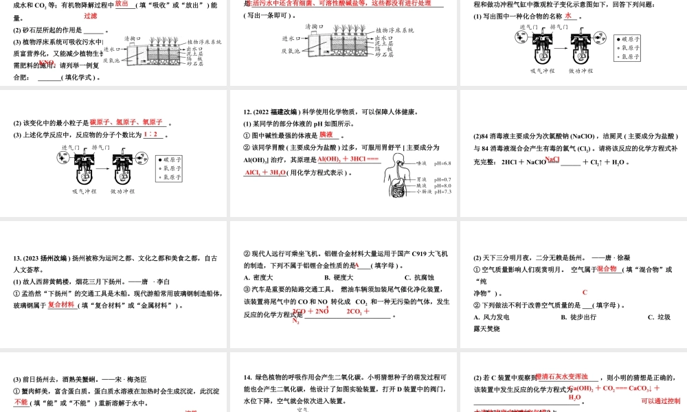 2024四川中考化学二轮复习 专题九 全国视野　推荐题型（课件）.pptx