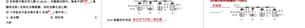 2024四川中考化学二轮复习 专题九 全国视野　推荐题型（课件）.pptx