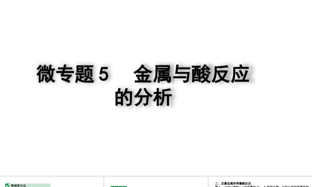 2024四川中考化学二轮复习微专题5 金属与酸反应的分析 （课件）.pptx