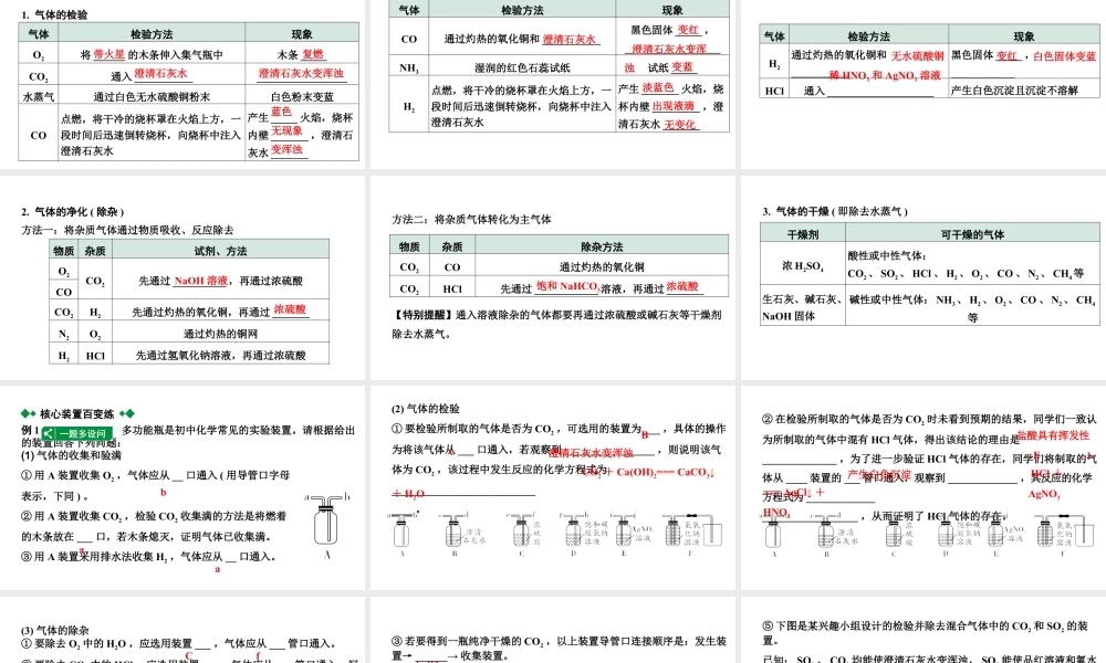 2024四川中考化学二轮复习微专题7 混合气体的处理 （课件）.pptx