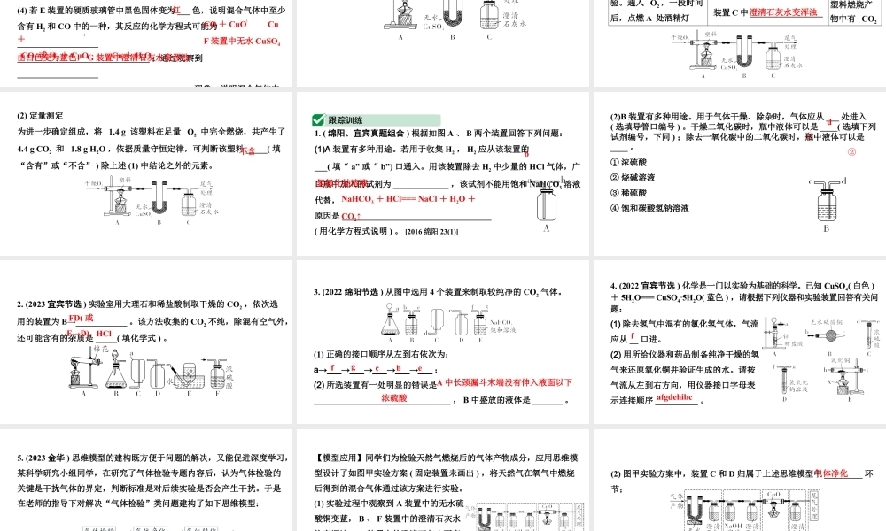 2024四川中考化学二轮复习微专题7 混合气体的处理 （课件）.pptx