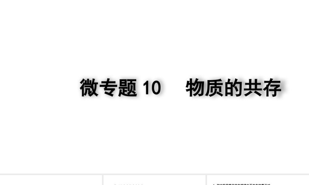 2024四川中考化学二轮复习微专题10 物质的共存（课件）.pptx