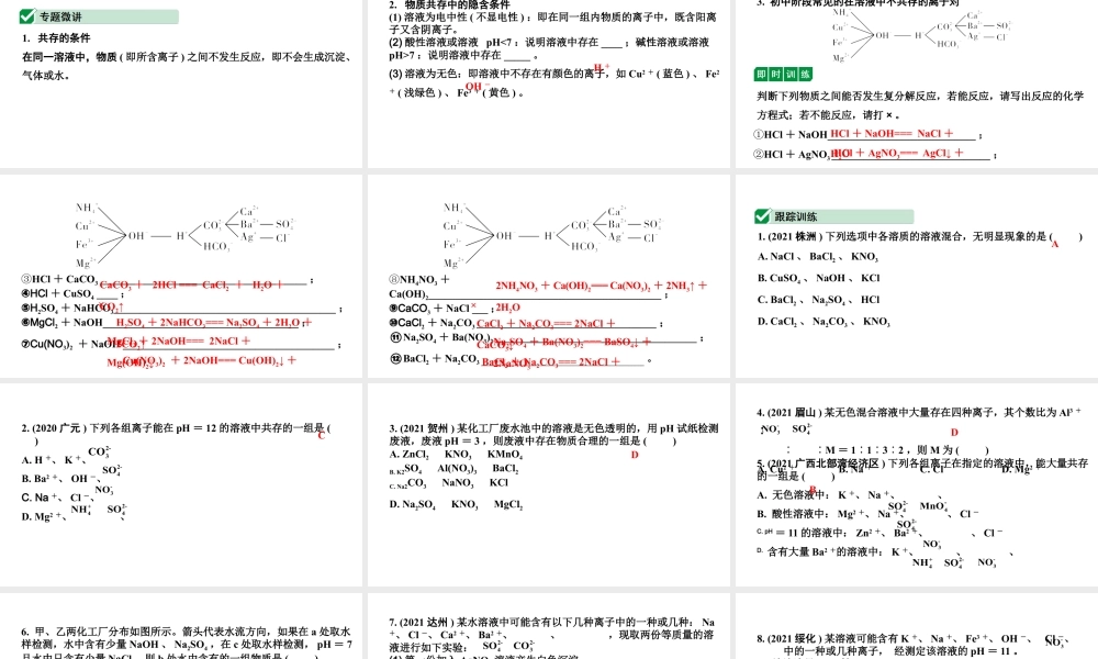 2024四川中考化学二轮复习微专题10 物质的共存（课件）.pptx