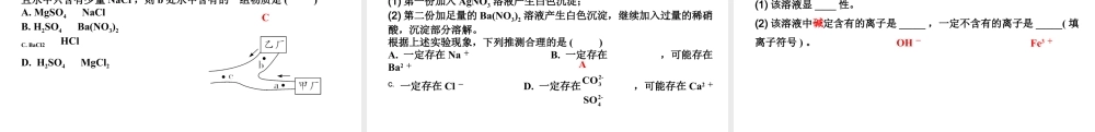 2024四川中考化学二轮复习微专题10 物质的共存（课件）.pptx