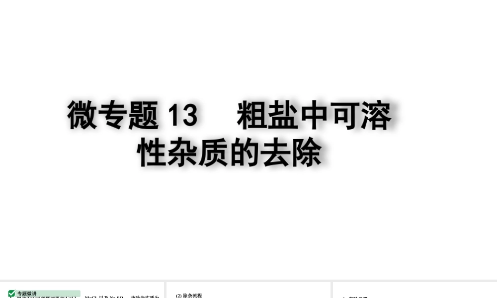 2024四川中考化学二轮复习微专题13 粗盐中可溶性杂质的去除 （课件）.pptx