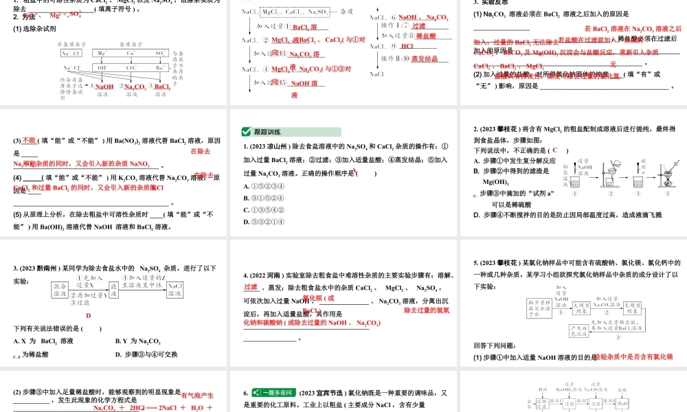 2024四川中考化学二轮复习微专题13 粗盐中可溶性杂质的去除 （课件）.pptx