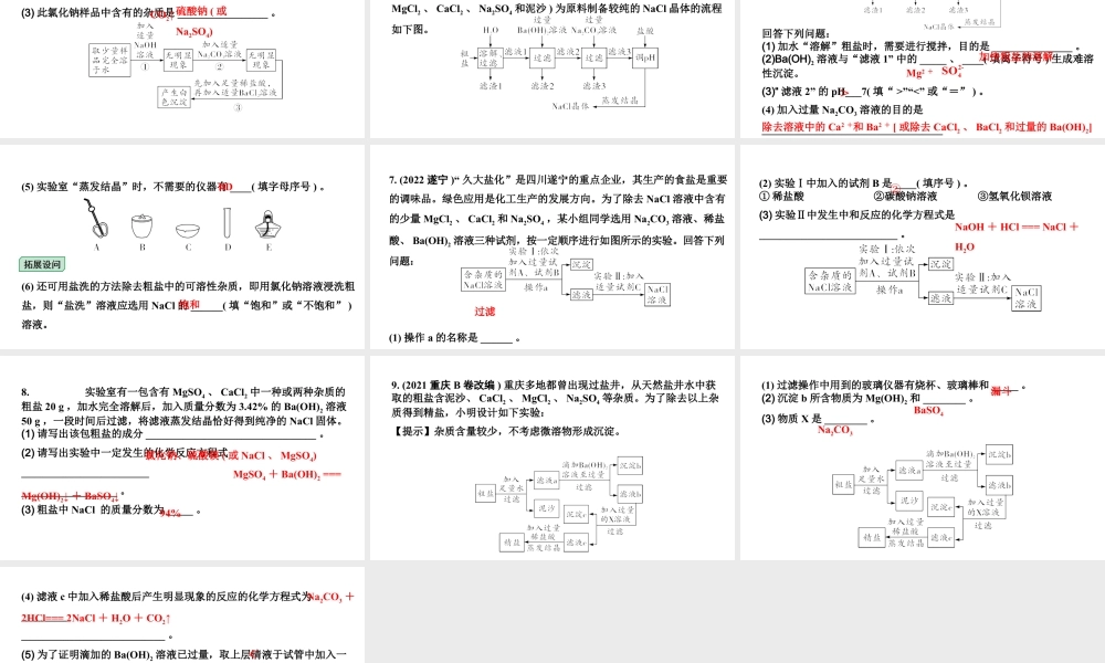 2024四川中考化学二轮复习微专题13 粗盐中可溶性杂质的去除 （课件）.pptx