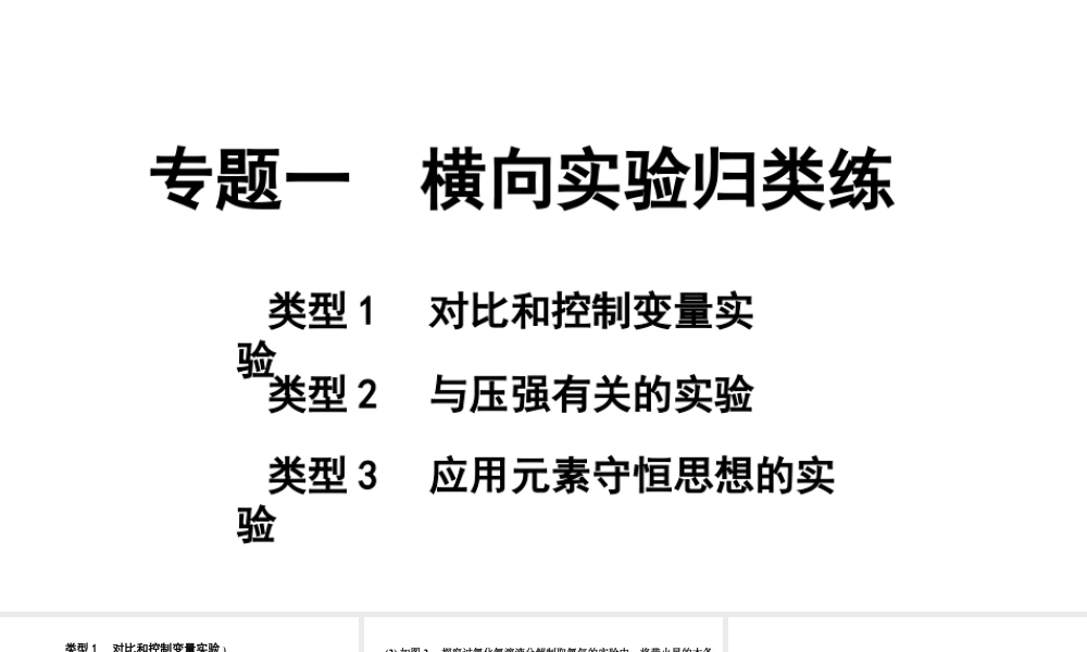 2024四川中考化学二轮复习专题一 横向实验归类练 （课件）.pptx