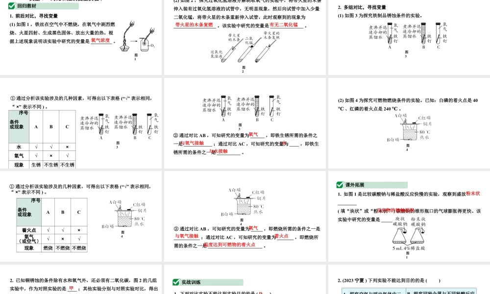 2024四川中考化学二轮复习专题一 横向实验归类练 （课件）.pptx