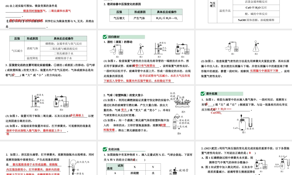 2024四川中考化学二轮复习专题一 横向实验归类练 （课件）.pptx