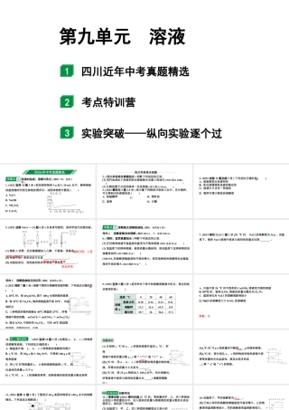 2024四川中考化学一轮复习 第九单元 溶液（课件）.pptx