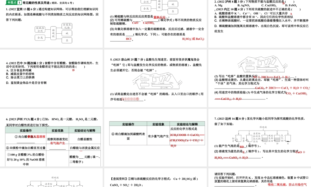 2024四川中考化学一轮复习 第十单元 酸和碱（课件）.pptx