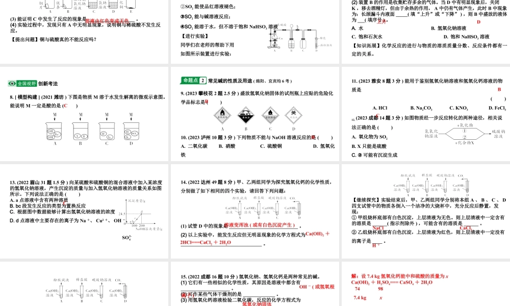 2024四川中考化学一轮复习 第十单元 酸和碱（课件）.pptx