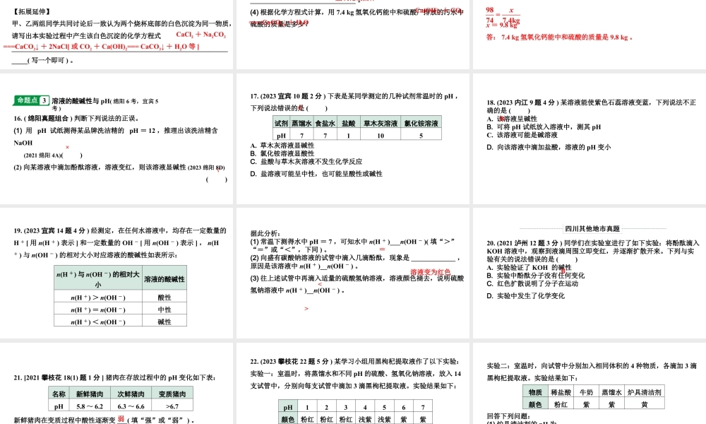 2024四川中考化学一轮复习 第十单元 酸和碱（课件）.pptx