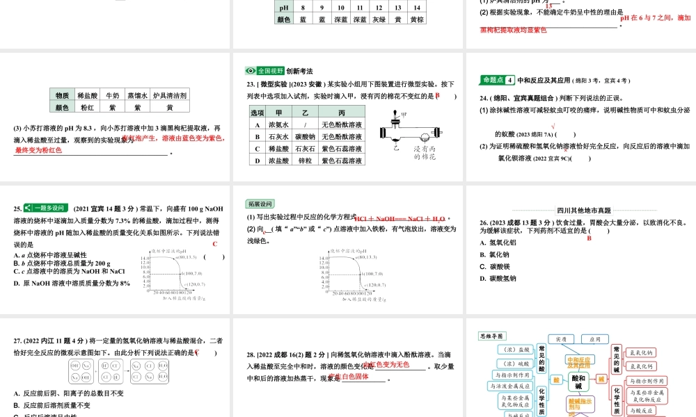 2024四川中考化学一轮复习 第十单元 酸和碱（课件）.pptx