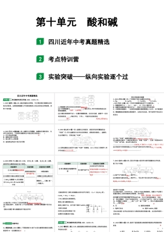 2024四川中考化学一轮复习 第十单元 酸和碱（课件）.pptx