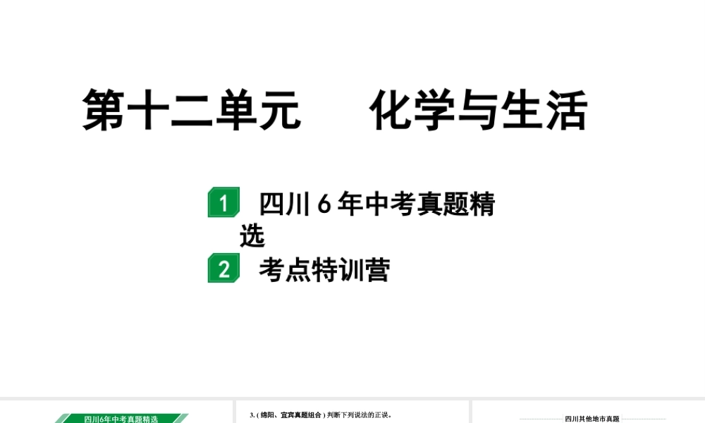 2024四川中考化学一轮复习 第十二单元 化学与生活（课件）.pptx