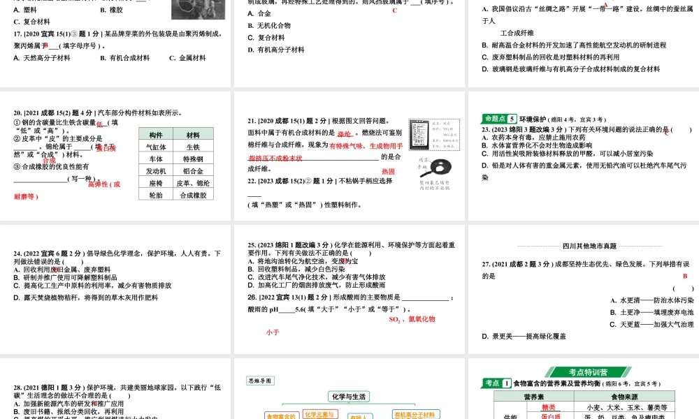 2024四川中考化学一轮复习 第十二单元 化学与生活（课件）.pptx