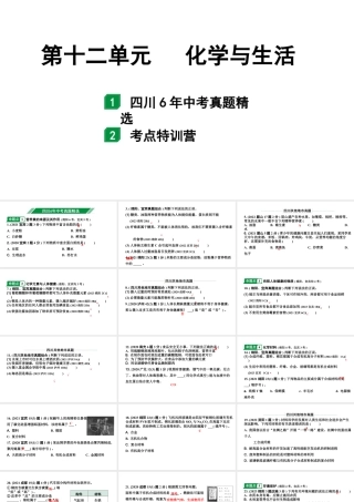 2024四川中考化学一轮复习 第十二单元 化学与生活（课件）.pptx
