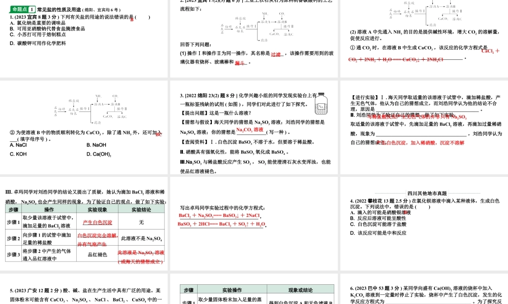 2024四川中考化学一轮复习 第十一单元　盐　化肥（课件）.pptx