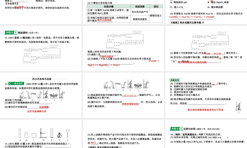 2024四川中考化学一轮复习 第十一单元　盐　化肥（课件）.pptx