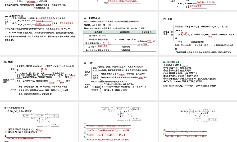 2024四川中考化学一轮复习 第十一单元　盐　化肥（课件）.pptx