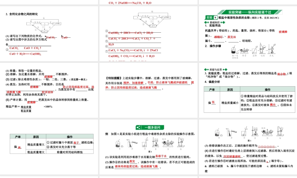 2024四川中考化学一轮复习 第十一单元　盐　化肥（课件）.pptx