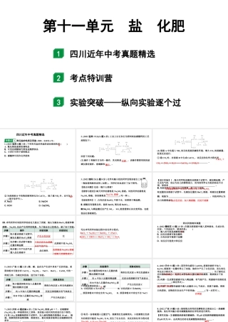2024四川中考化学一轮复习 第十一单元　盐　化肥（课件）.pptx