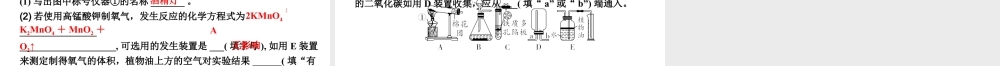 2024四川中考化学一轮复习 微专题4 常见气体的制取（课件）.pptx