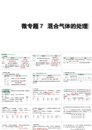 2024四川中考化学一轮复习 微专题7 混合气体的处理（课件）.pptx